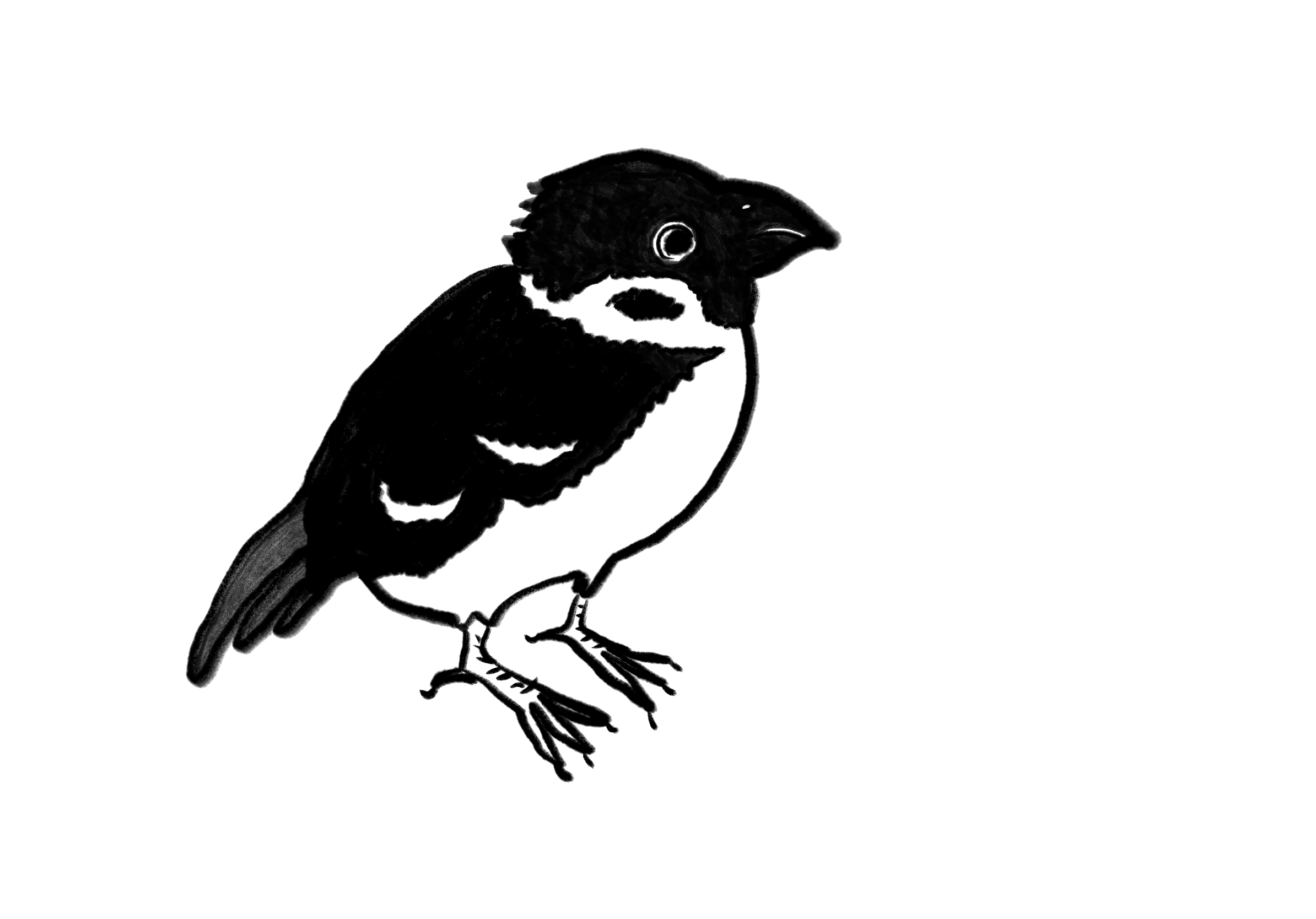 山崎ナオコーラさん連載 未来の源氏物語 第3回 ロリコン の読み方 ２ 編集の現場から 淡交社 京都の茶道美術図書出版社